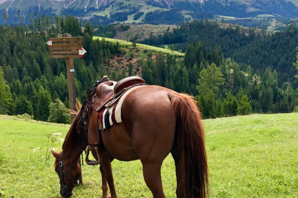 Auf dem Rücken der Pferde die Dolomiten entdecken